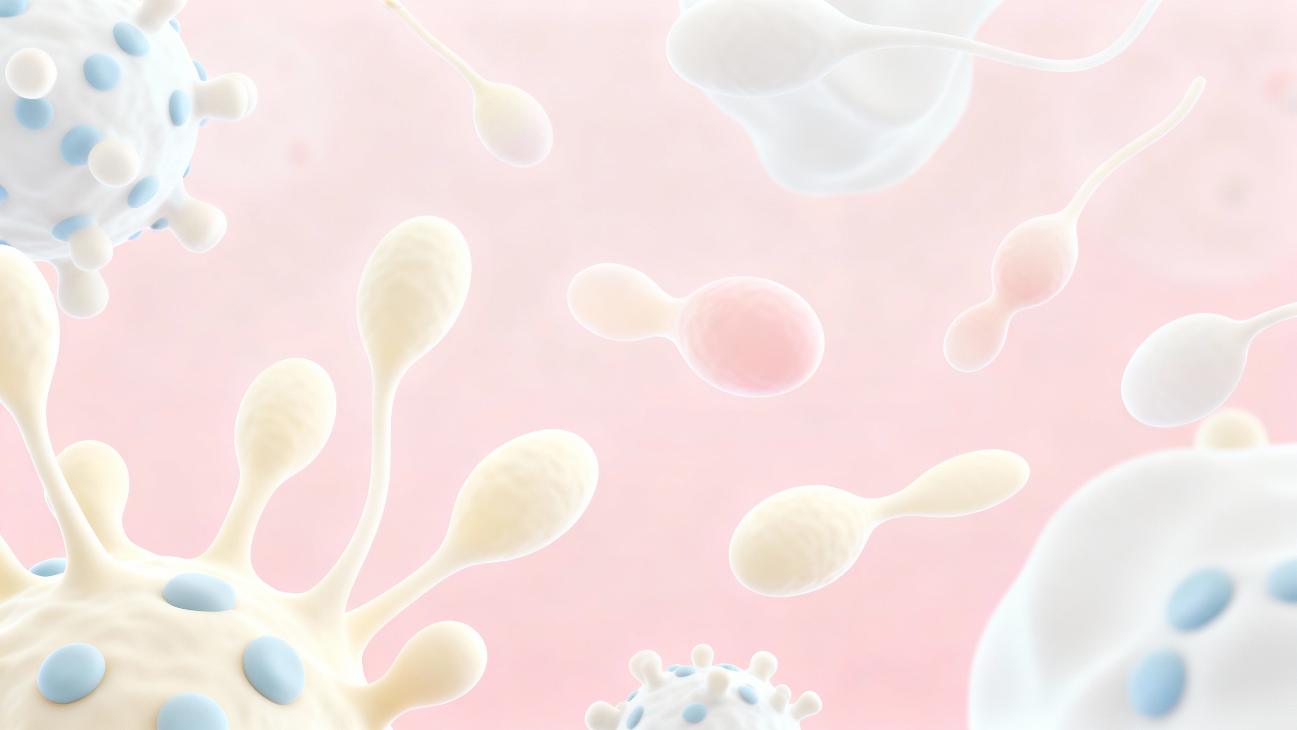 Featured image for Mastering Candidiasis: Expert Tips on Managing Symptoms